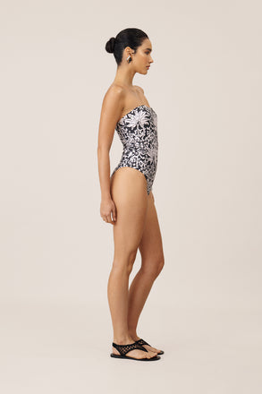 Entero Carla - Balance