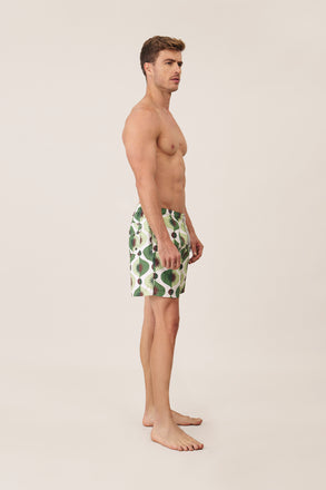 Bloomy Pantaloneta - Origen