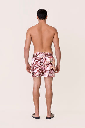 Bloomy- Blossom Stories