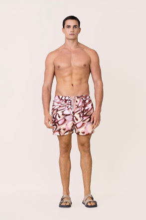 Bloomy- Blossom Stories